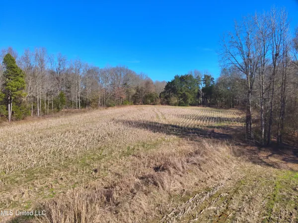 $2,156,000 | 579 Black Jack Road, Vaughan, MS 39179