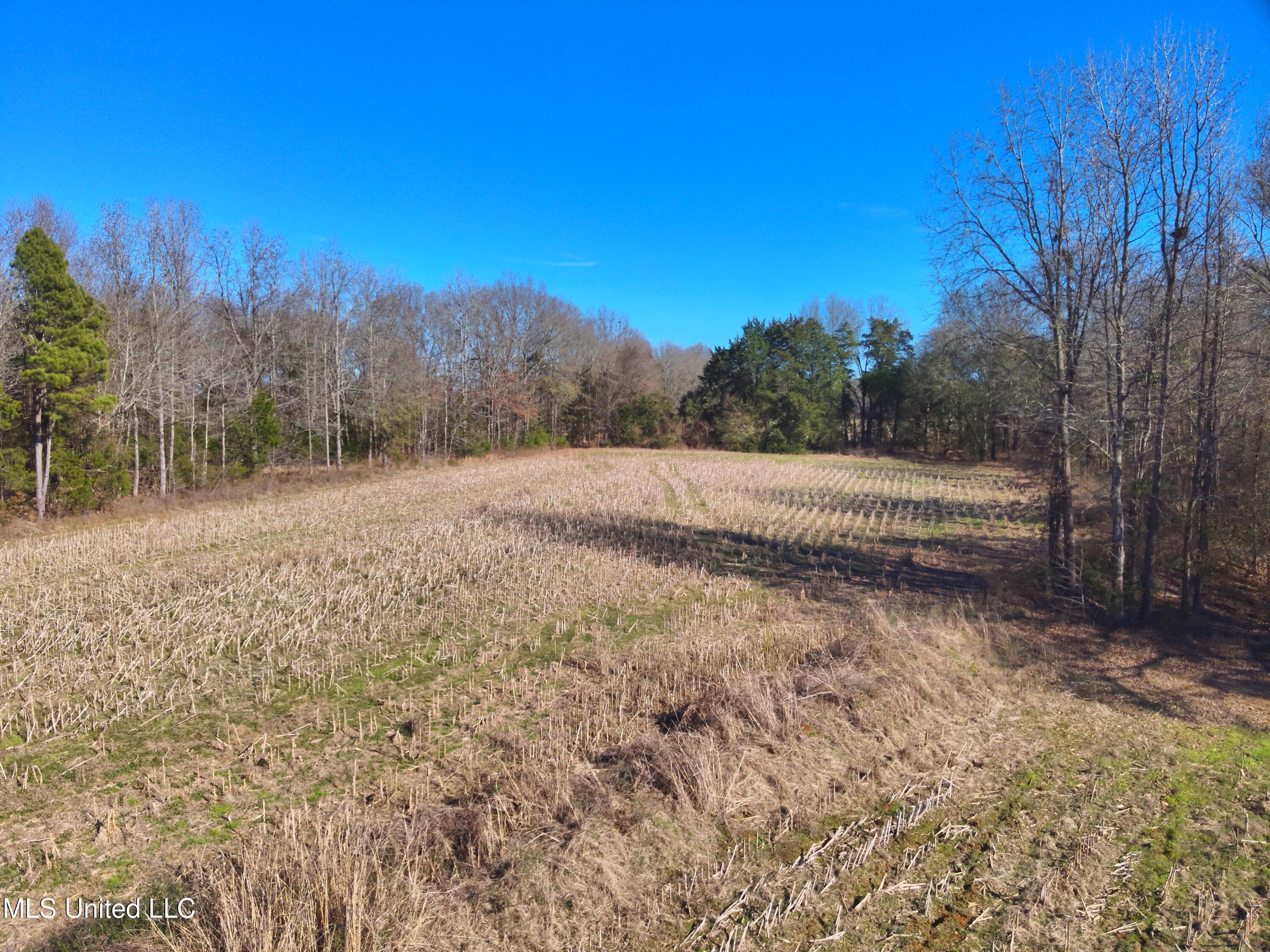 579 Black Jack Road Vaughan, MS 39179 - Photo 16 of 26 DJI_20260115135216_0001_V