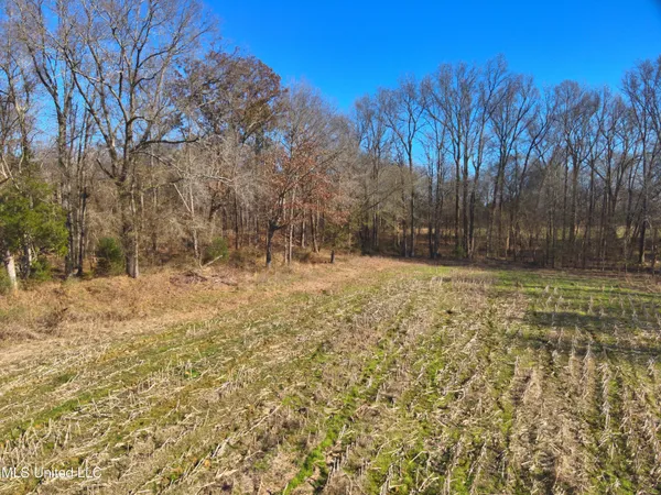 $2,156,000 | 579 Black Jack Road, Vaughan, MS 39179