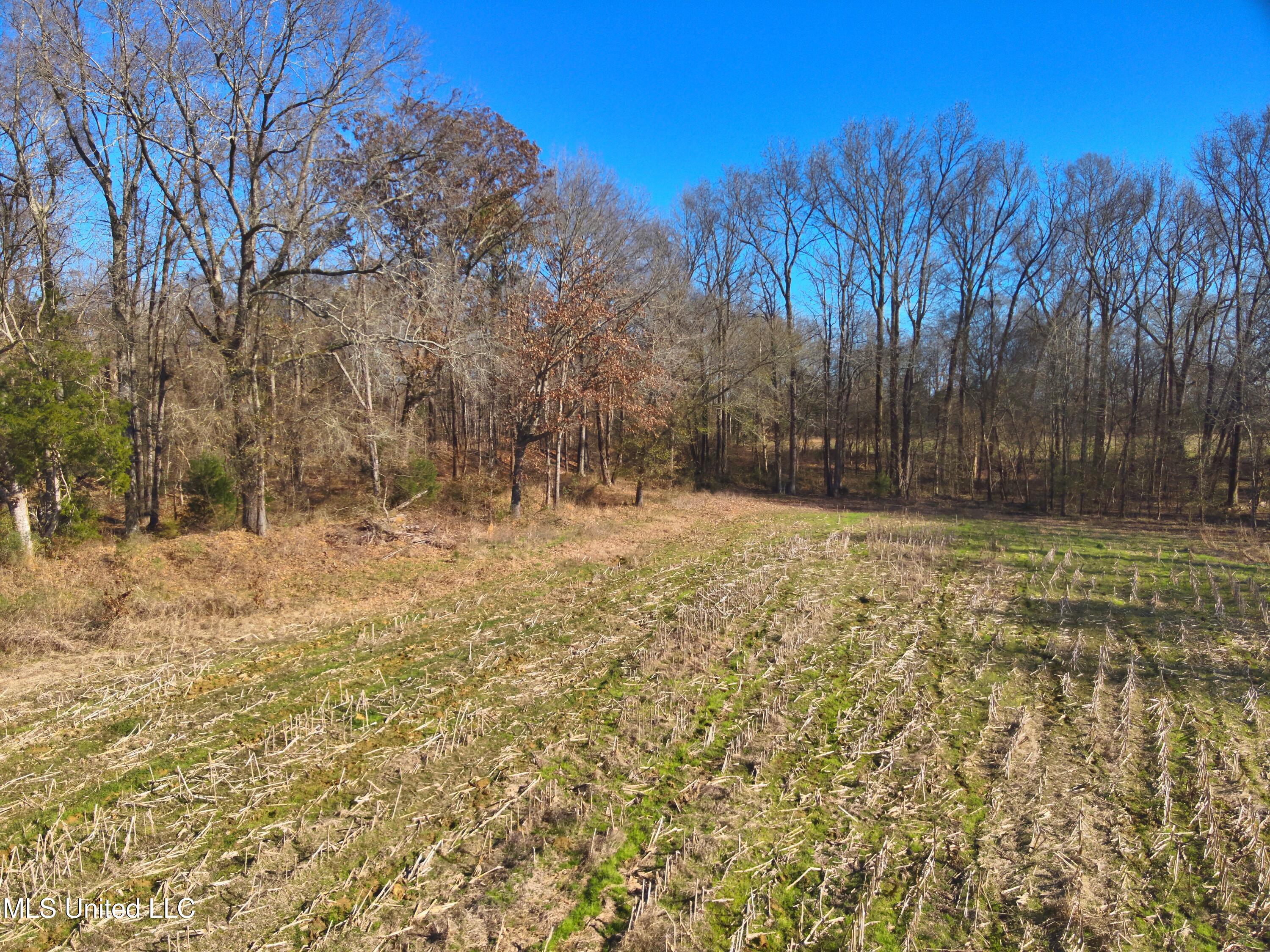 579 Black Jack Road Vaughan, MS 39179 - Photo 17 of 26 DJI_20260115135241_0003_V
