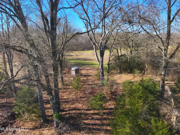 $2,156,000 | 579 Black Jack Road, Vaughan, MS 39179