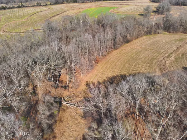 $2,156,000 | 579 Black Jack Road, Vaughan, MS 39179