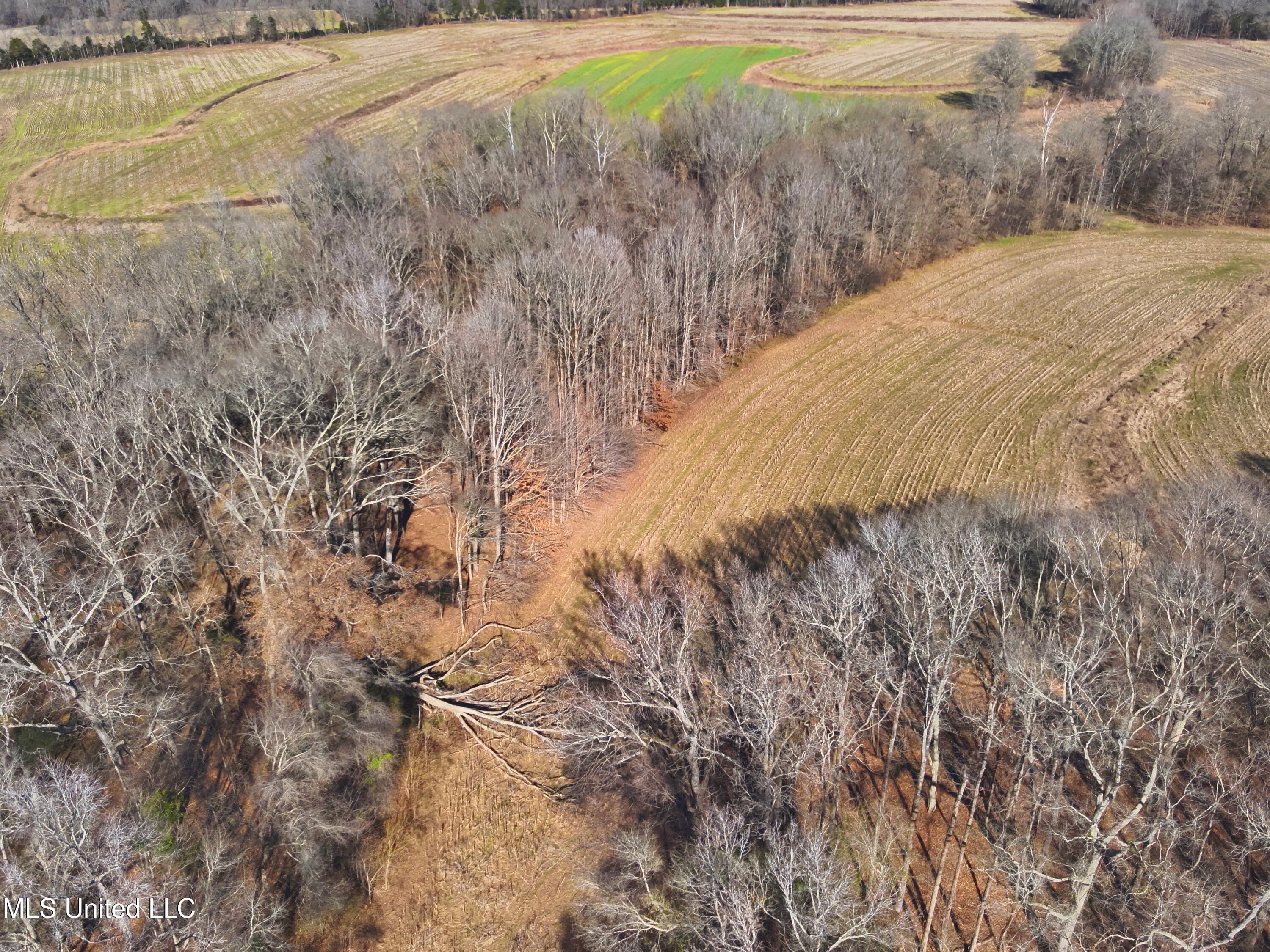 579 Black Jack Road Vaughan, MS 39179 - Photo 19 of 26 DJI_20260115134017_0018_V