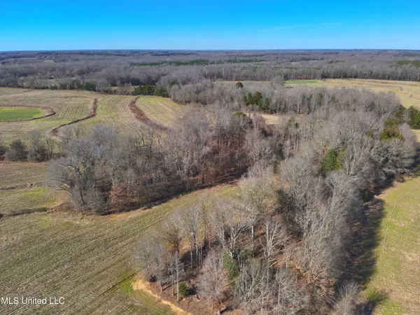 $2,156,000 | 579 Black Jack Road, Vaughan, MS 39179