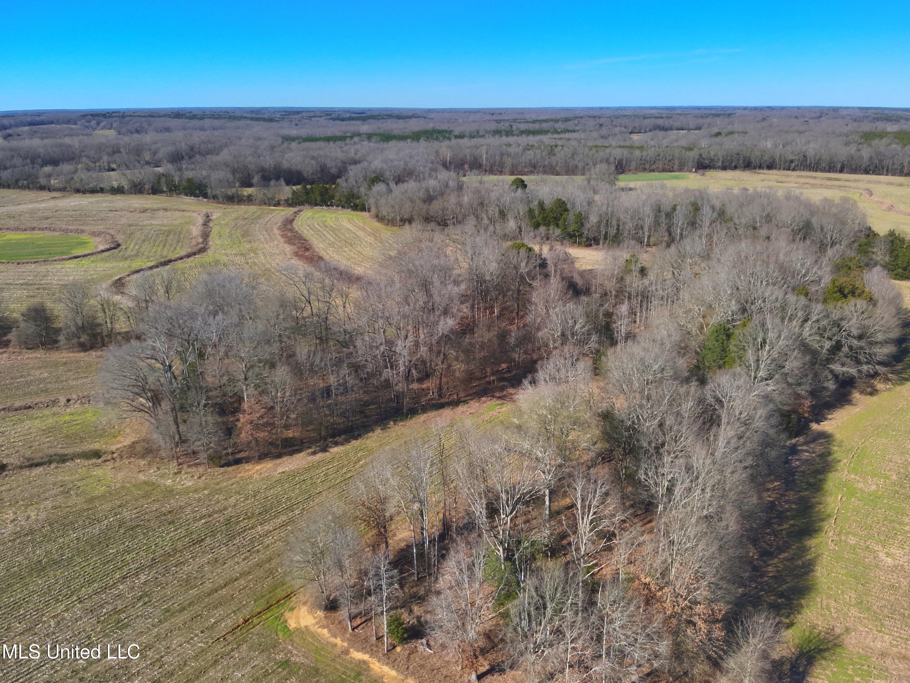 579 Black Jack Road Vaughan, MS 39179 - Photo 20 of 26 DJI_20260115134203_0023_V
