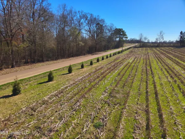 $2,156,000 | 579 Black Jack Road, Vaughan, MS 39179