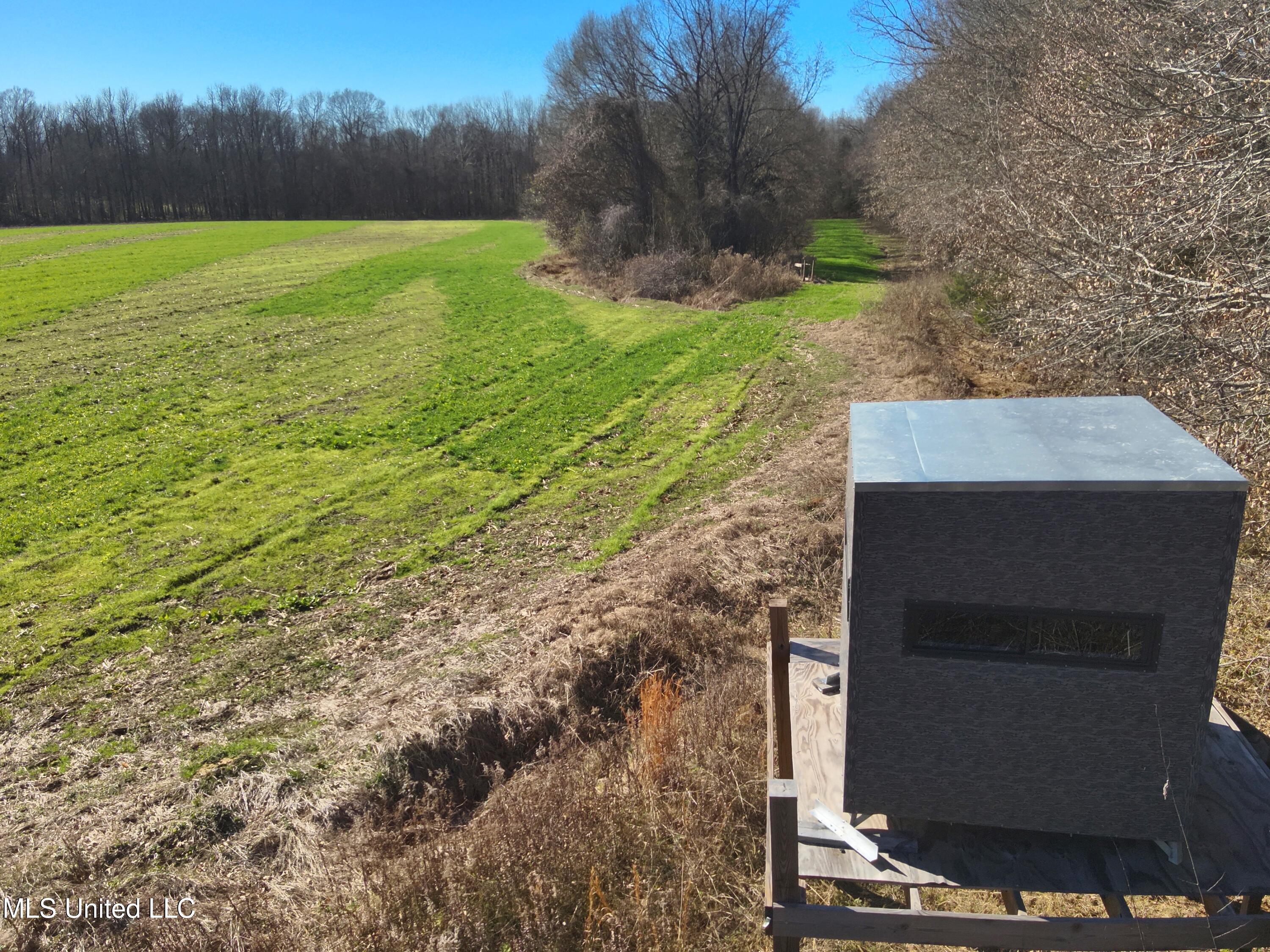 579 Black Jack Road Vaughan, MS 39179 - Photo 22 of 26 DJI_20260115134656_0032_V