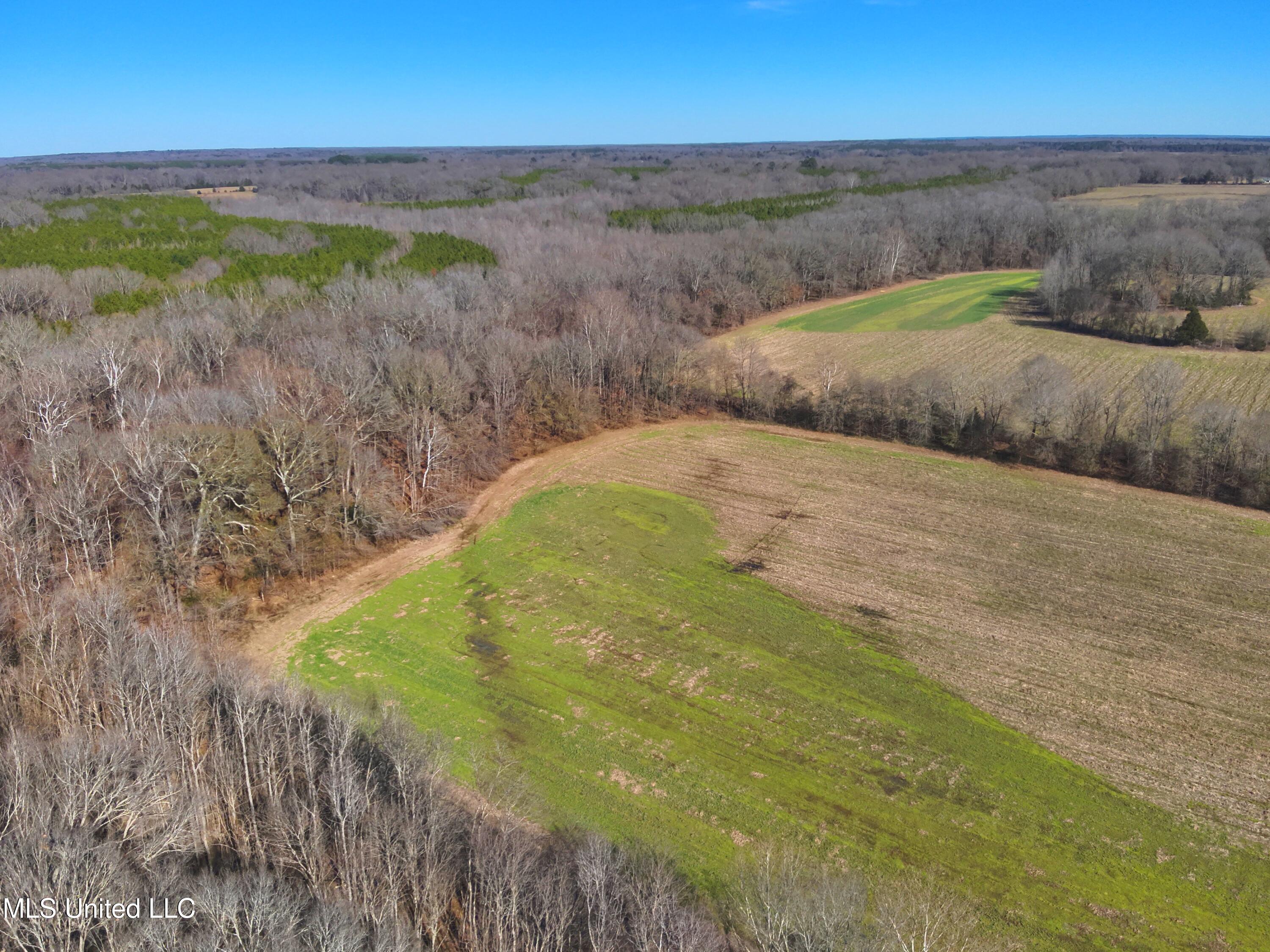 579 Black Jack Road Vaughan, MS 39179 - Photo 23 of 26 DJI_20260115133548_0014_V