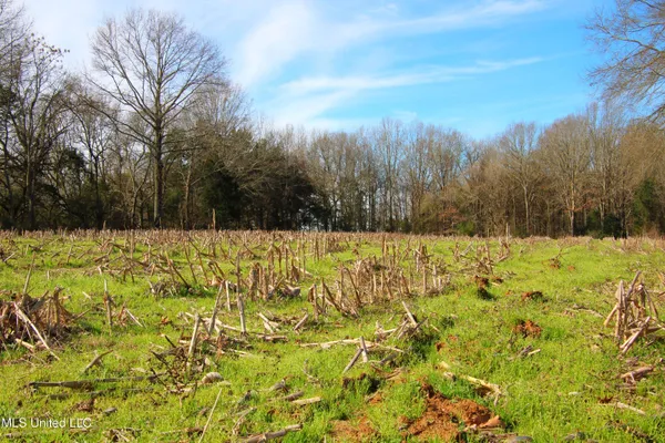 $2,156,000 | 579 Black Jack Road, Vaughan, MS 39179