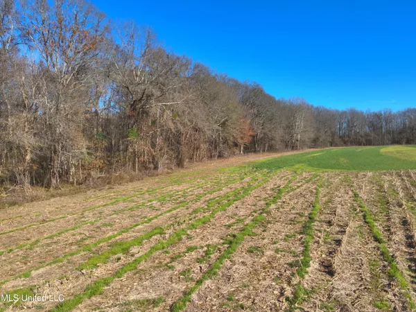 $2,156,000 | 579 Black Jack Road, Vaughan, MS 39179