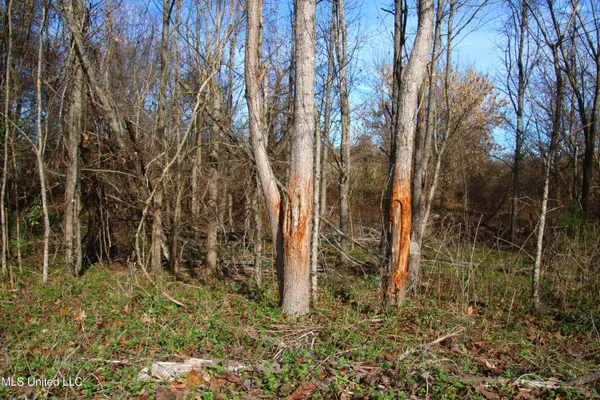 $2,156,000 | 579 Black Jack Road, Vaughan, MS 39179