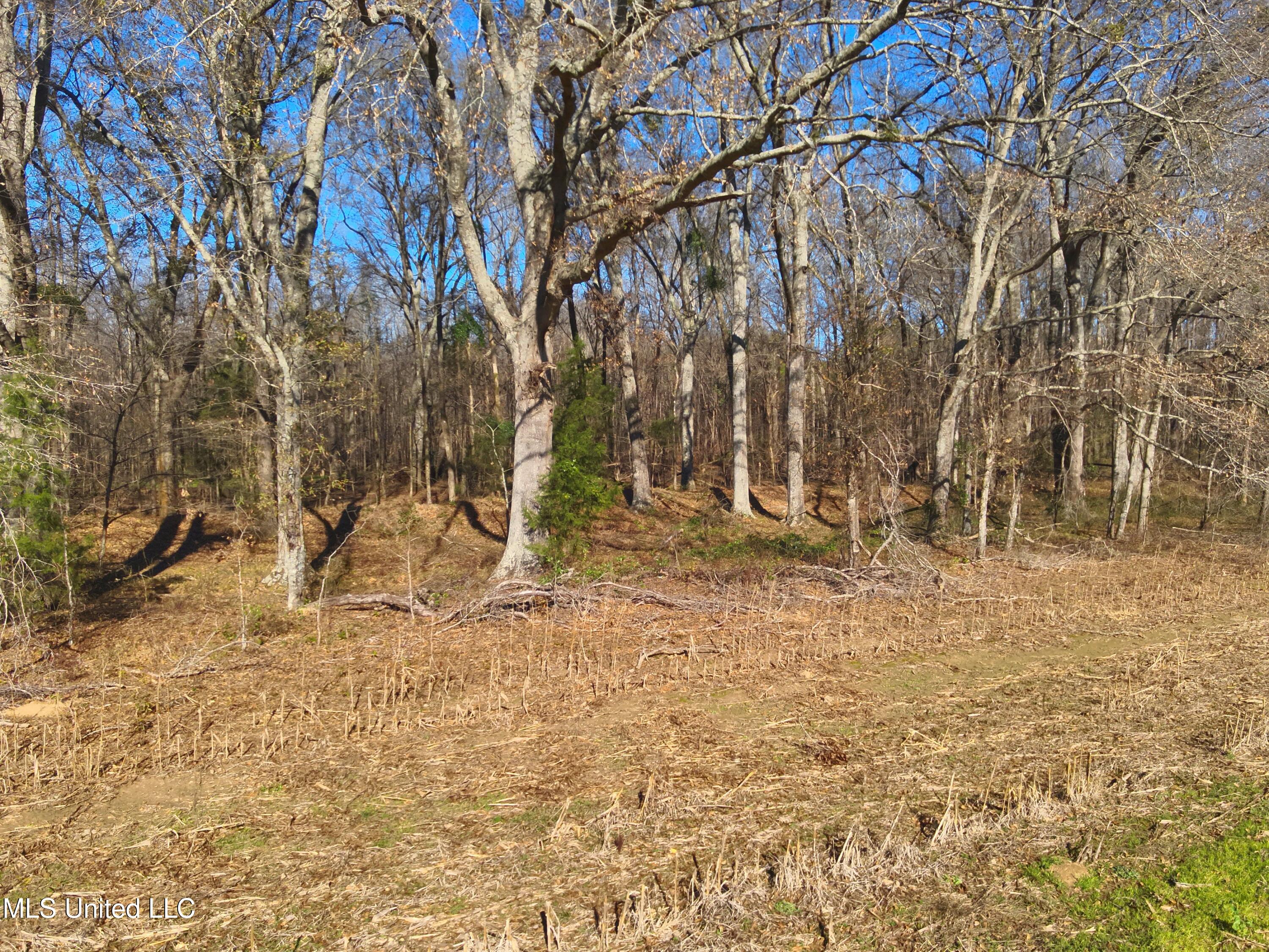 579 Black Jack Road Vaughan, MS 39179 - Photo 7 of 26 DJI_20260115140400_0023_V