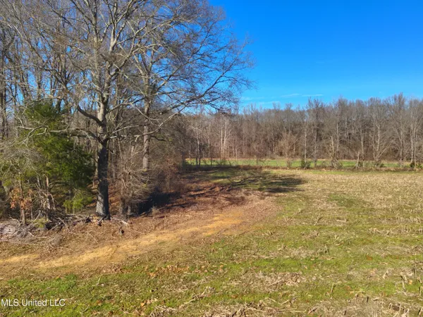 $2,156,000 | 579 Black Jack Road, Vaughan, MS 39179