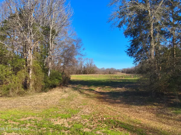 $2,156,000 | 579 Black Jack Road, Vaughan, MS 39179
