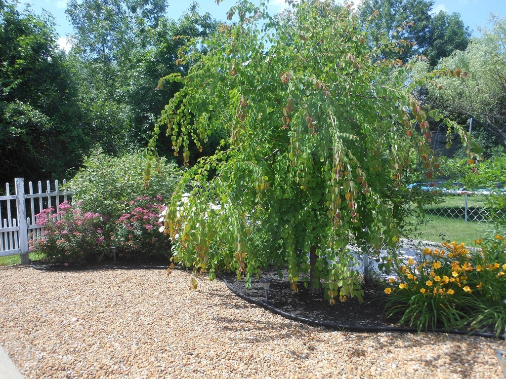 70 French Farm Road North Andover, MA 01845 - Photo 17 of 25 Gallery Image 17