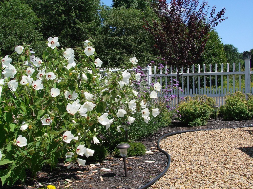 70 French Farm Road North Andover, MA 01845 - Photo 20 of 25 Gallery Image 20