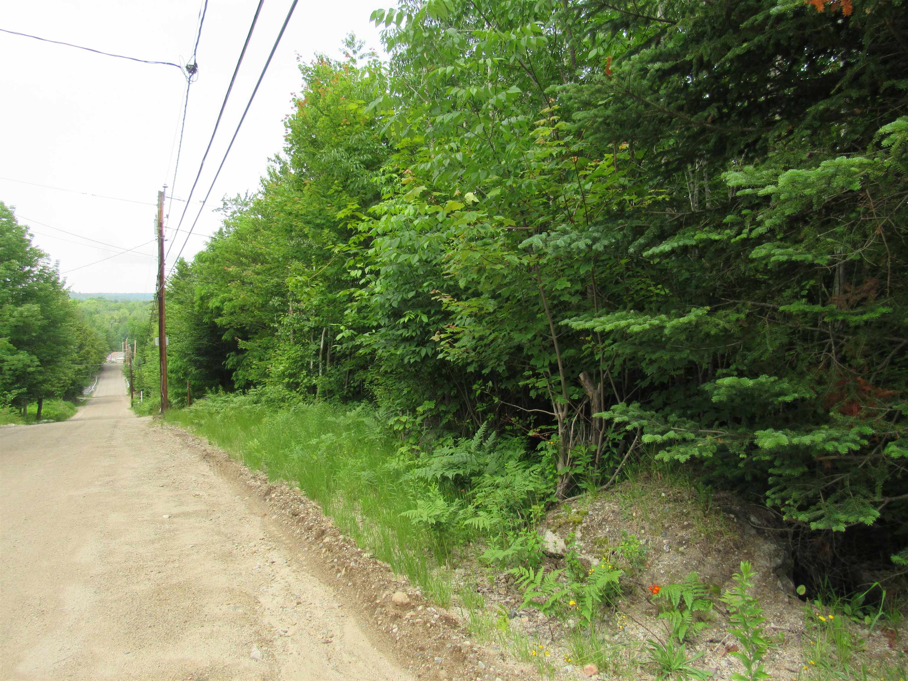 19-21 Spring Road Gorham, NH 03581 - Photo 1 of 3