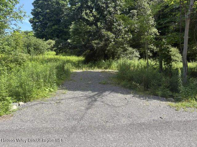 81 Maiers Road Craryville, NY 12521 - Photo 14 of 15 IMG_4235