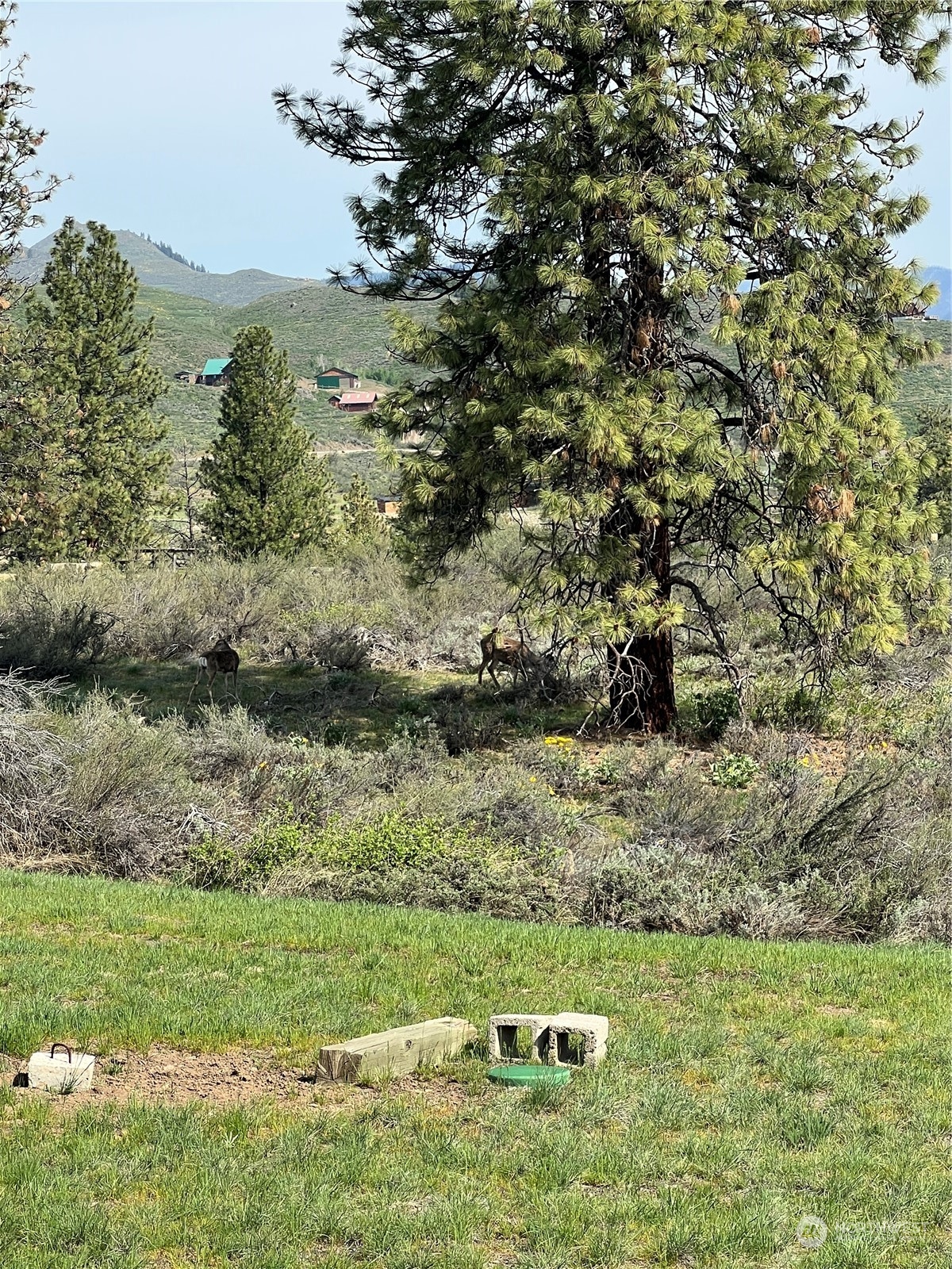22 Rhinehart Road Winthrop, WA 98862 - Photo 23 of 23 a view of a field with an trees