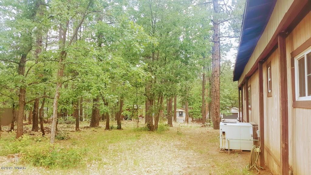 4381 East Blue Ridge Loop, Unit 3 Pinetop, AZ 85935 - Photo 4 of 16 a view of yard in front of house