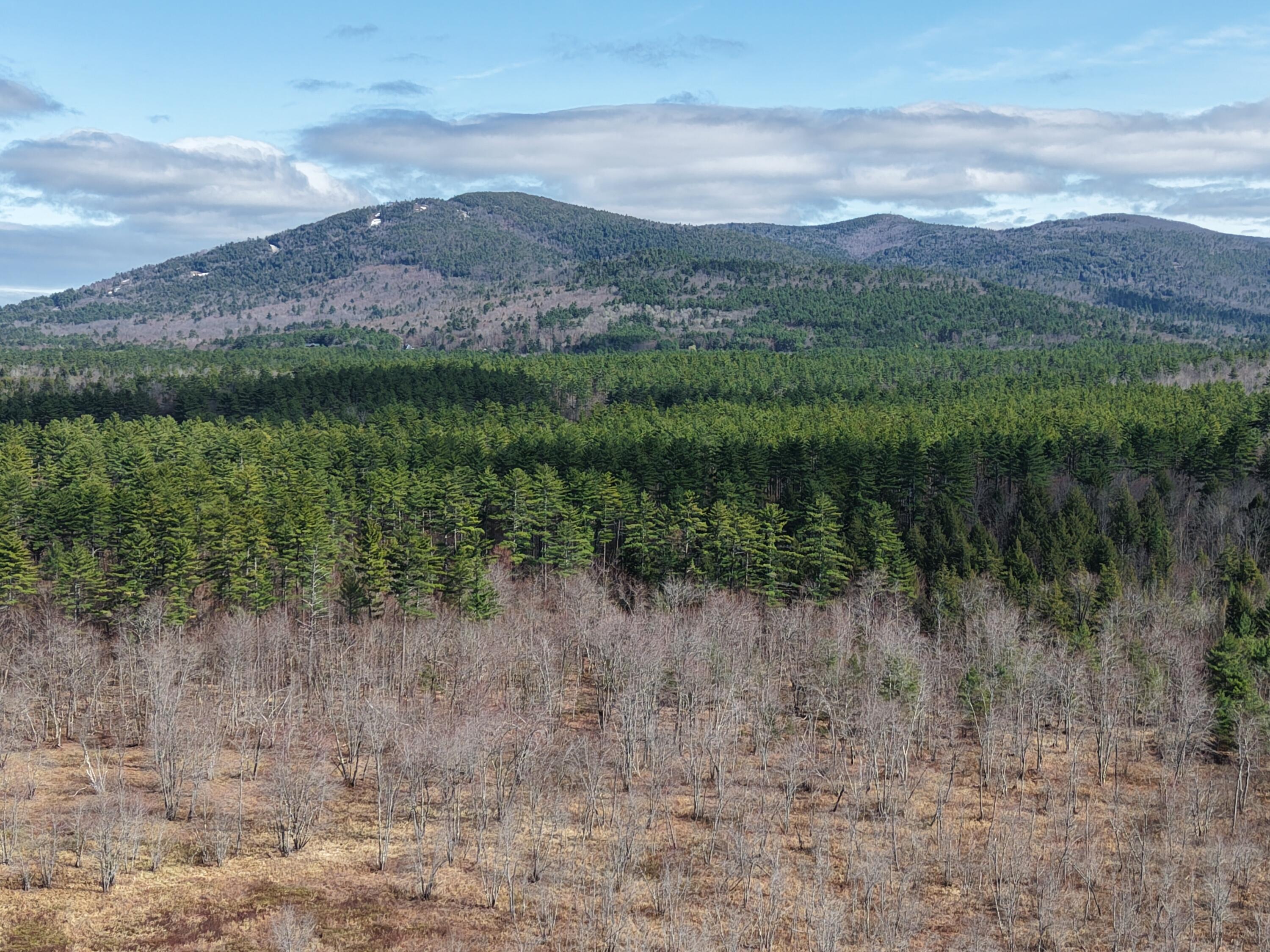 P/0-m20l19 Carter Hill Road Fryeburg, ME 04037 - Photo 20 of 21 South toward Pleasant