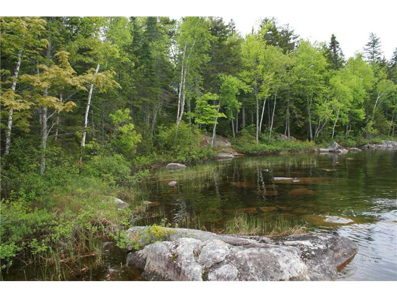 217 South Shore Road Linneus, ME 04730 - Photo 8 of 27 Waterfront/Dock/Pier.