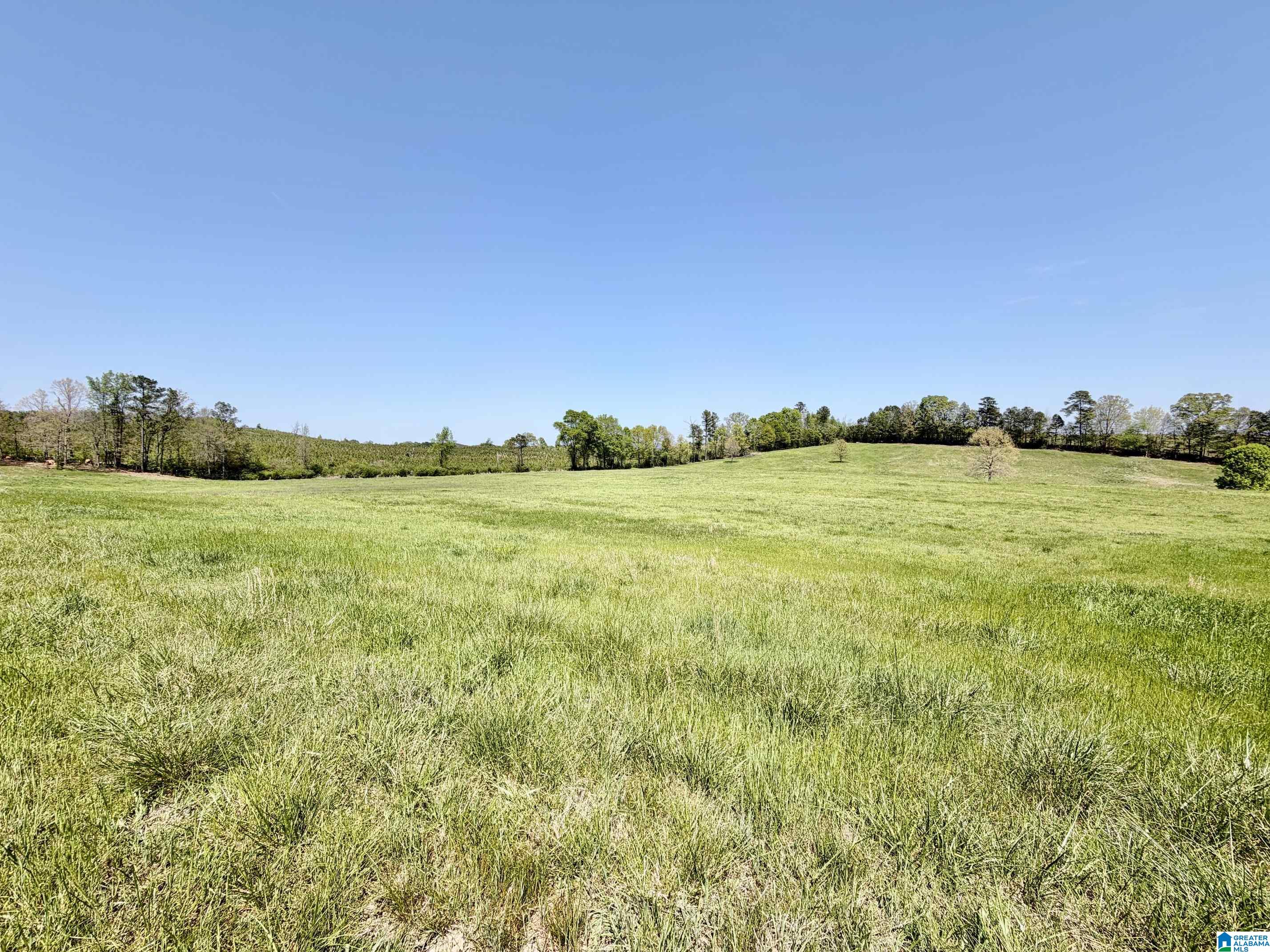 1097 Gnatville Road Piedmont, AL 36272 - Photo 75 of 79