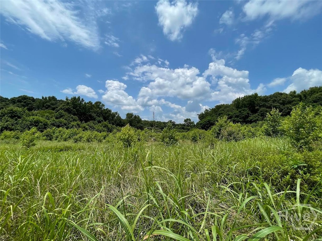 646 Harris Lord Cemetery Road Commerce, GA 30530 - Photo 4 of 22 Gallery Image 4