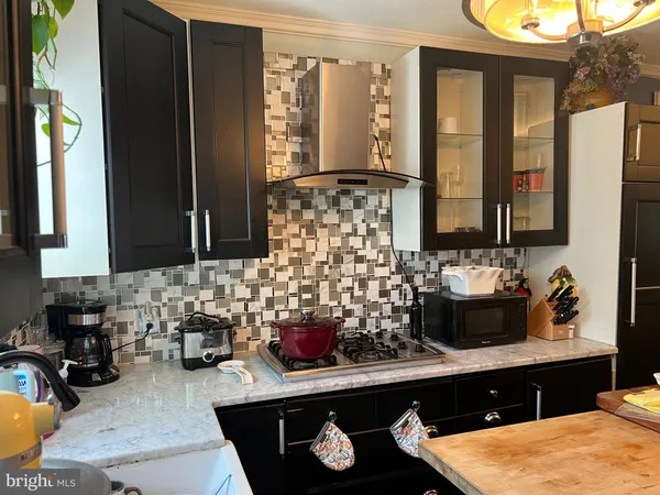a kitchen with a sink and a potted plant