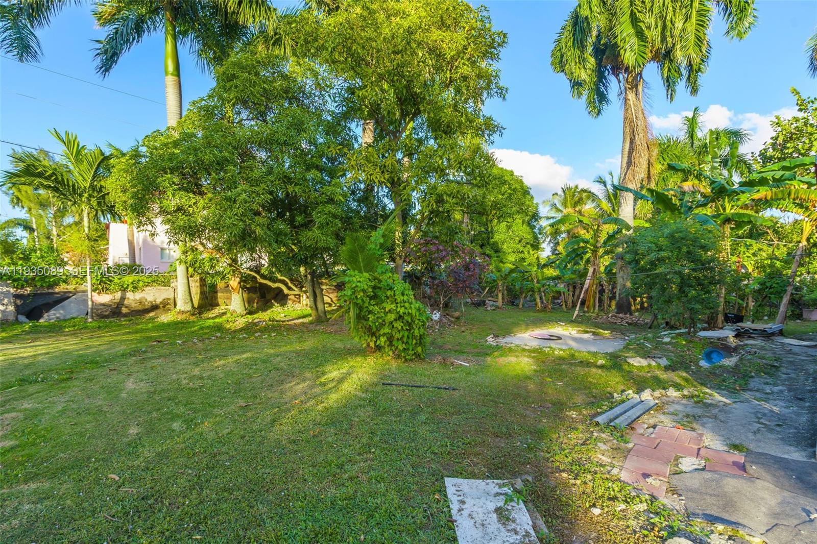 191 Northwest 83rd Street Miami, FL 33150 - Photo 19 of 35 a backyard of a house with lots of green space
