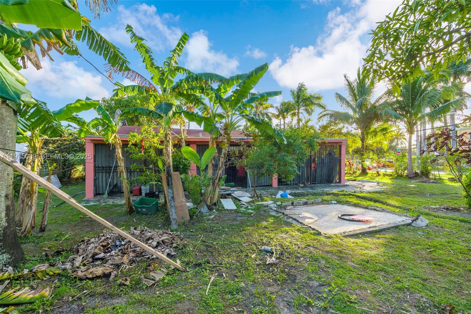 191 Northwest 83rd Street Miami, FL 33150 - Photo 21 of 35 a view of a backyard with palm trees