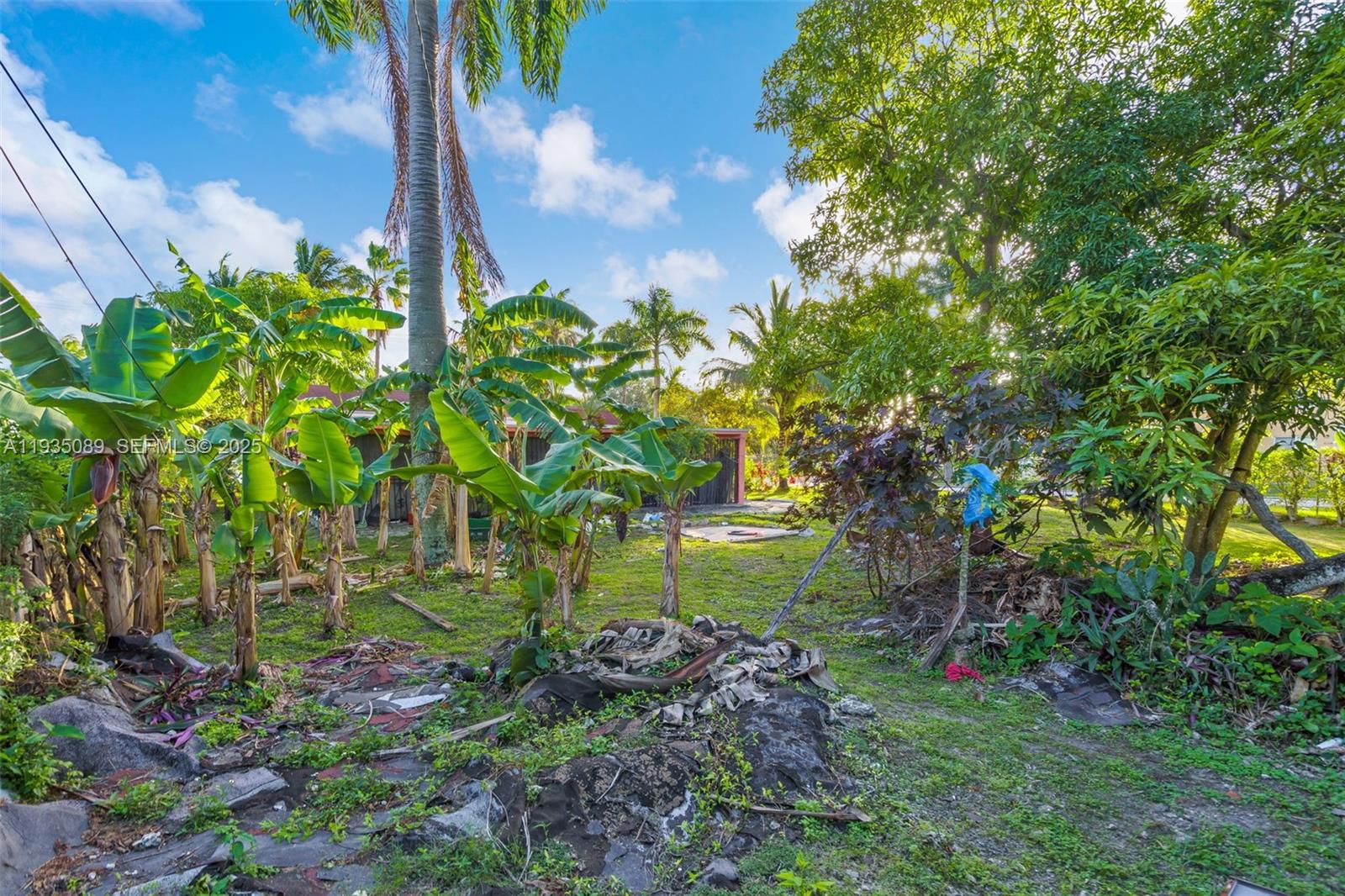 191 Northwest 83rd Street Miami, FL 33150 - Photo 22 of 35 a view of a garden