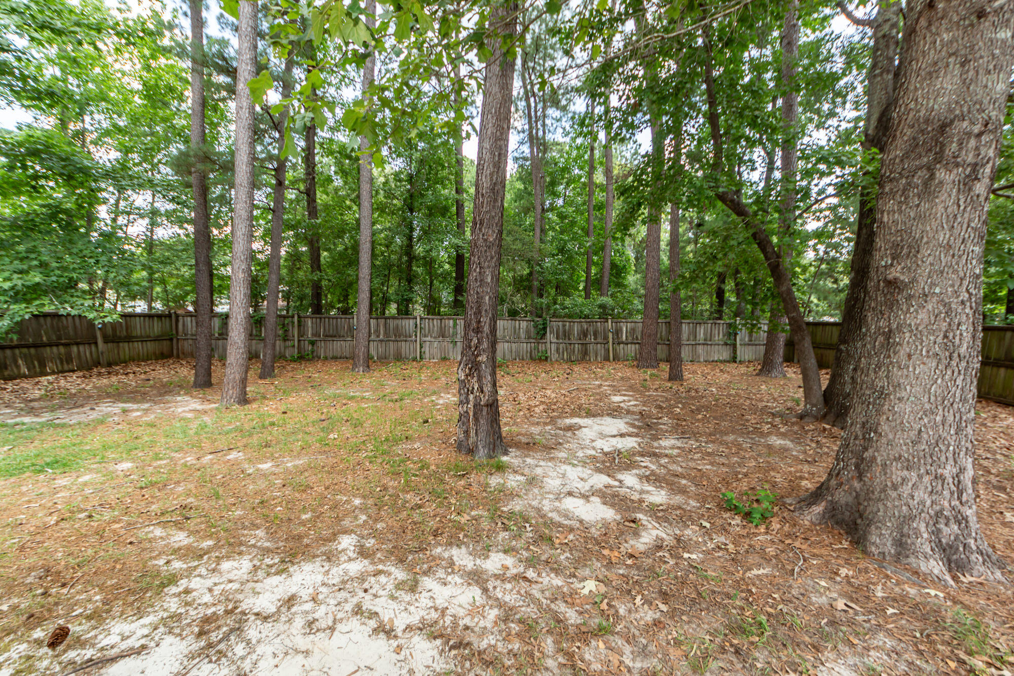 402 Black Horse Road Moncks Corner, SC 29461 - Photo 35 of 38