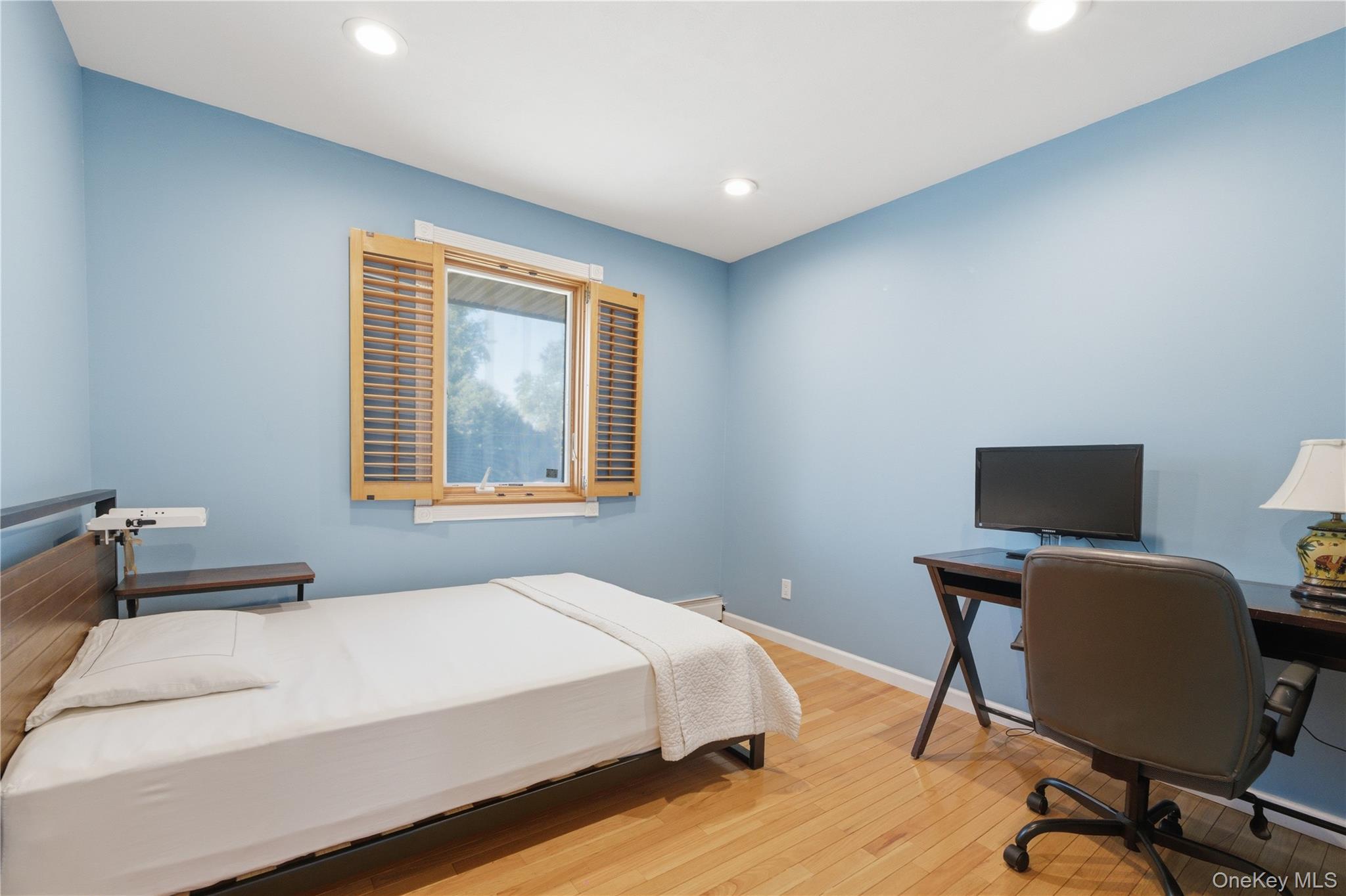 308 South Oyster Bay Road, Unit A Syosset, NY 11791 - Photo 21 of 37