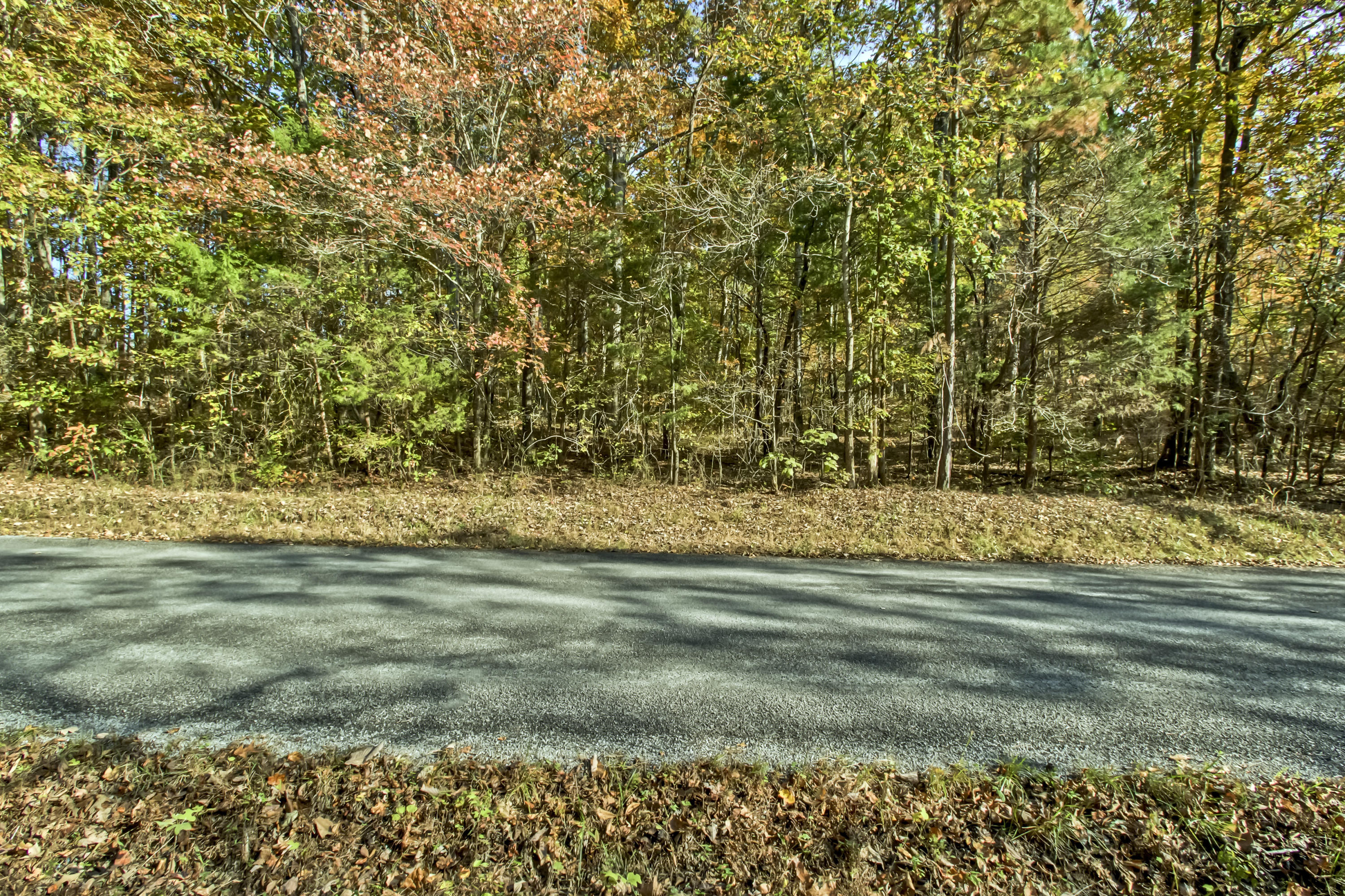 Lot 4 Sam Davis Road Decatur, TN 37322 - Photo 3 of 7 03_SamDavisRoad_Road_E-SE