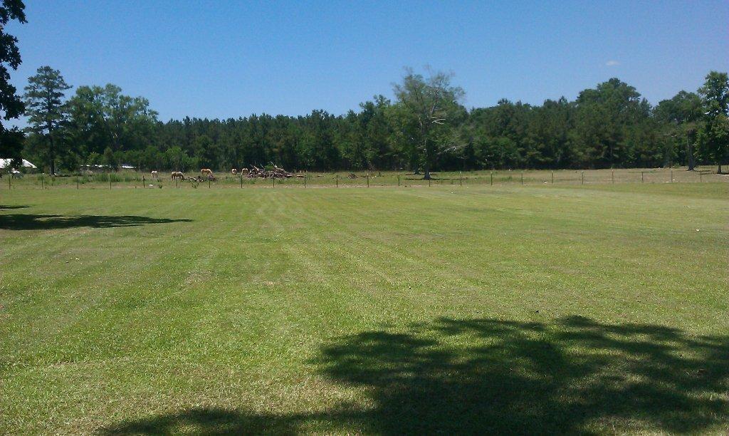 16233 East Bell Road Amite, LA 70422 - Photo 2 of 2