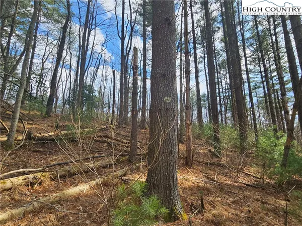 $90,000 | Panorama Drive, Todd, NC 28684