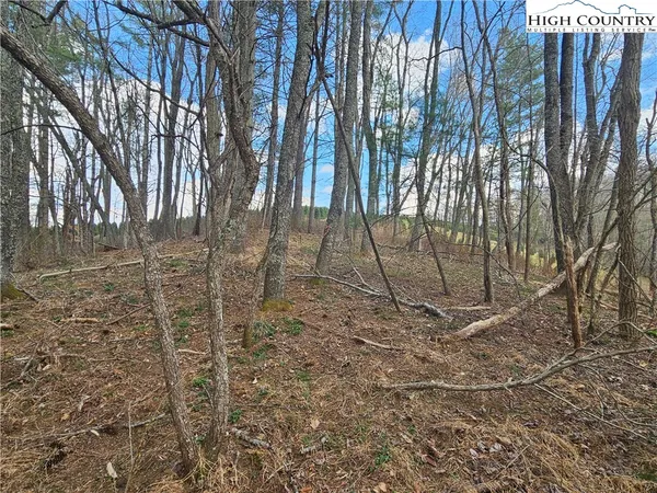 $90,000 | Panorama Drive, Todd, NC 28684