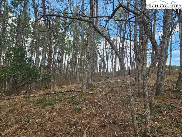 $90,000 | Panorama Drive, Todd, NC 28684