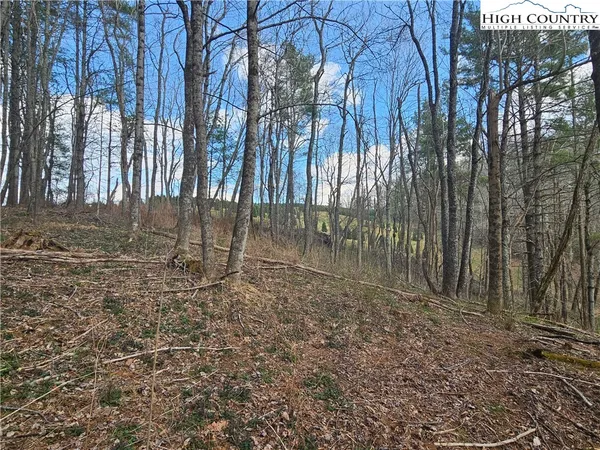 $90,000 | Panorama Drive, Todd, NC 28684