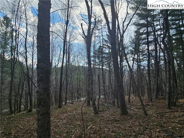 $90,000 | Panorama Drive, Todd, NC 28684