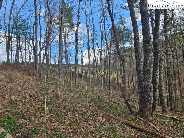 $90,000 | Panorama Drive, Todd, NC 28684