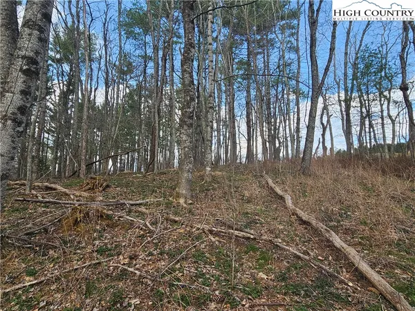 $90,000 | Panorama Drive, Todd, NC 28684