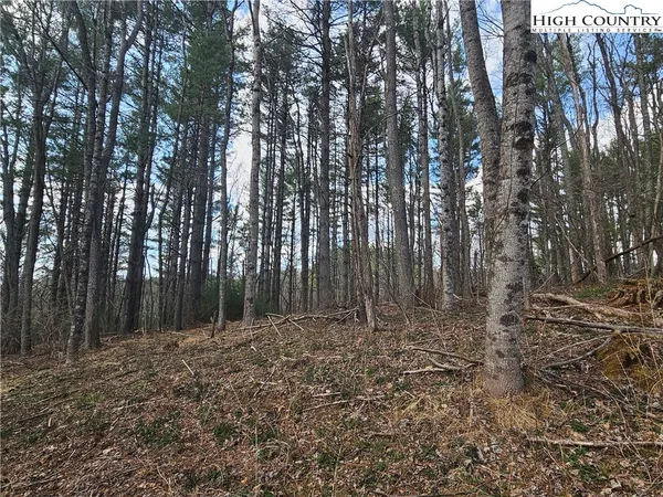 $90,000 | Panorama Drive, Todd, NC 28684