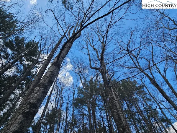 $90,000 | Panorama Drive, Todd, NC 28684