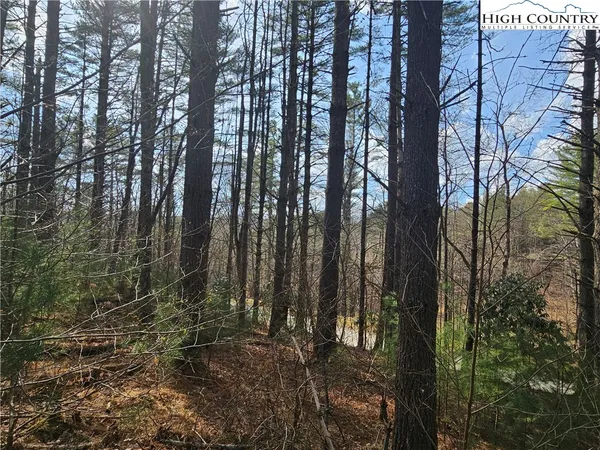 $90,000 | Panorama Drive, Todd, NC 28684
