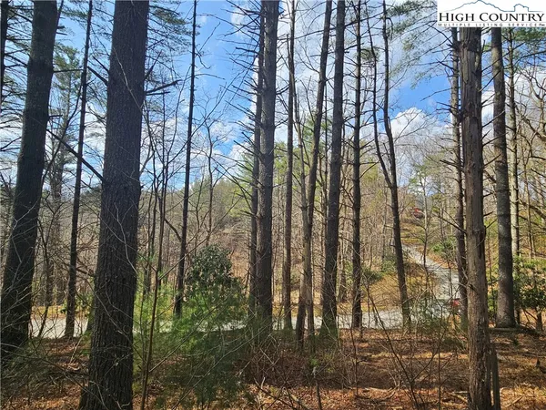 $90,000 | Panorama Drive, Todd, NC 28684