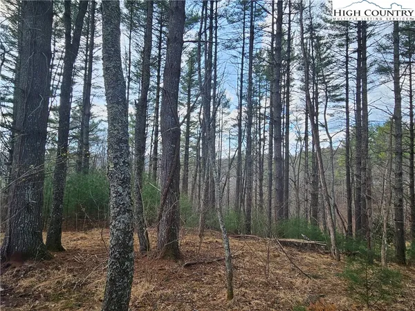 $90,000 | Panorama Drive, Todd, NC 28684