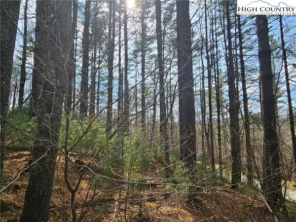 $90,000 | Panorama Drive, Todd, NC 28684