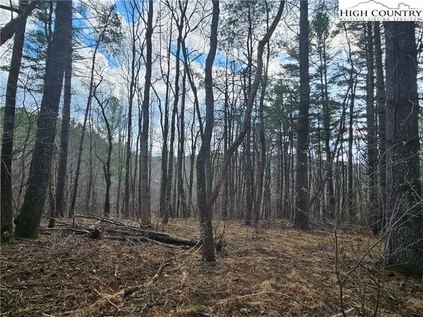 $90,000 | Panorama Drive, Todd, NC 28684